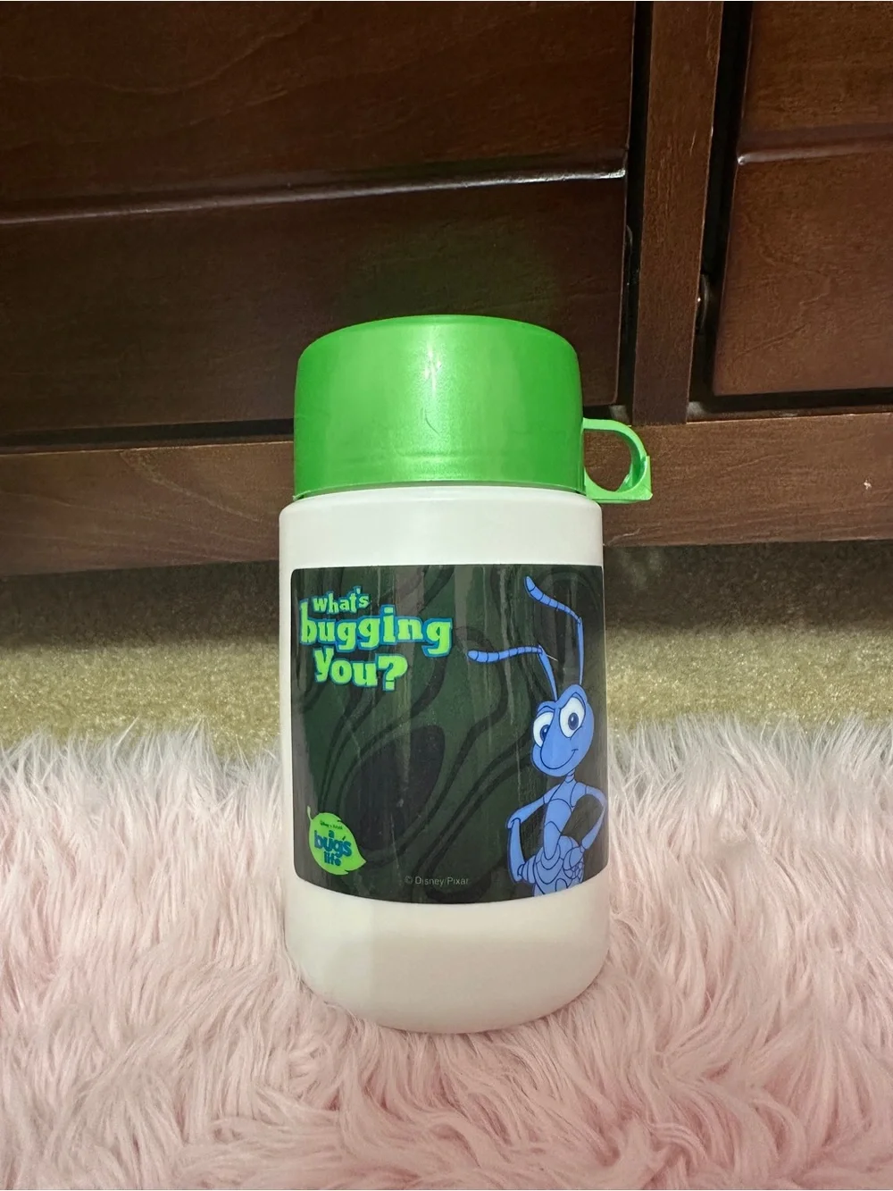 Vintage Disney's A Bug's Life Plastic Green Lunch Box With Thermos